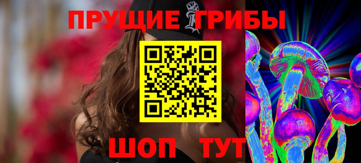 Псилоцибиновые грибы Psilocybe Нововоронеж