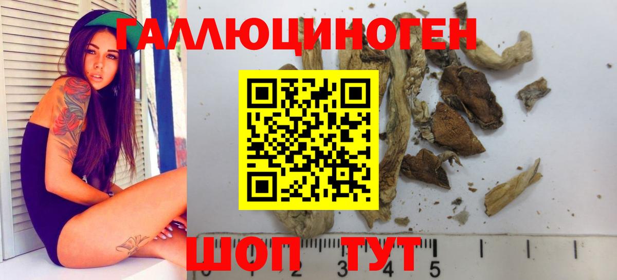 Галлюциногенные грибы Cubensis  где продают   Нововоронеж  Вход с VPN 
